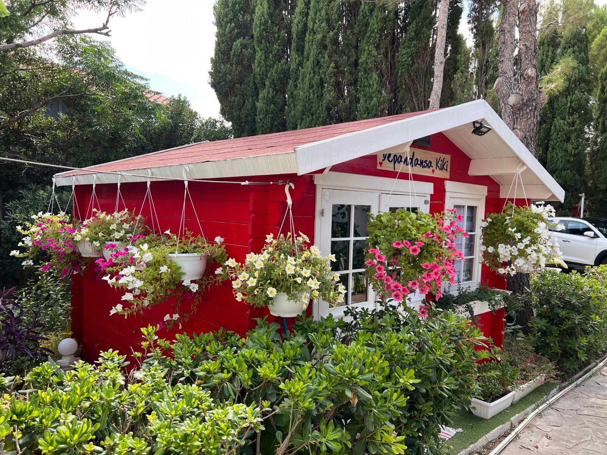 Apartments And Bungalows Vila Dalibor 닌 외부 사진